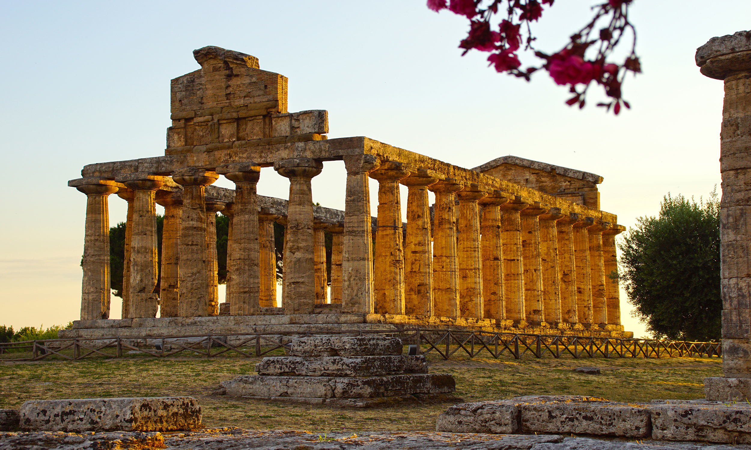 Camping Wild Paestum - Camper Park — photo 6